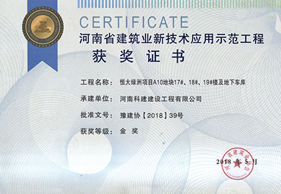 “恒大綠洲項(xiàng)目A10地塊17#、18#、19#樓及地下車庫工程”榮獲“河南省建筑業(yè)新技術(shù)應(yīng)用示范工程”金獎(jiǎng)